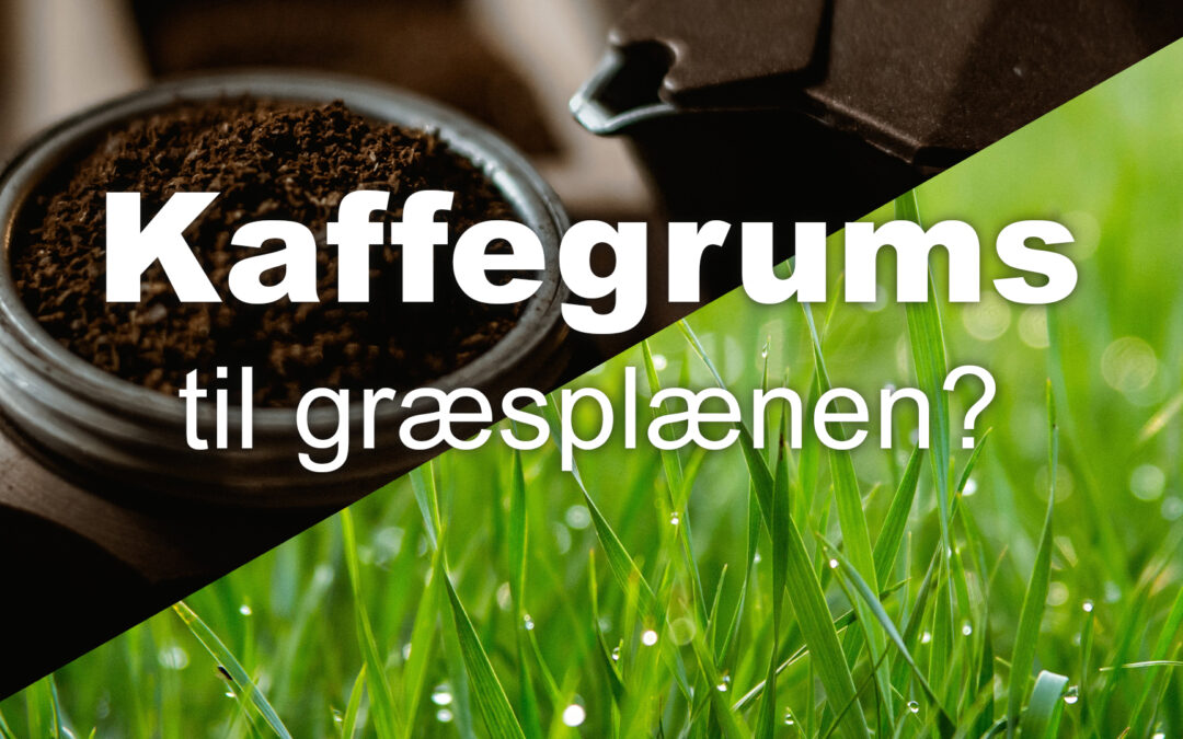 Kaffegrums på græsplænen