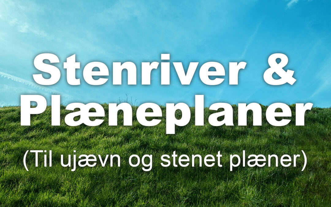 Stenrive græsplæne