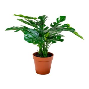 Monstera - Kunstig plante 45 cm