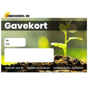 Gavekort 1000 kr.